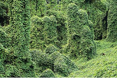 沙盒生存游戏《拿枪的巫师》2022年发售 支持简中